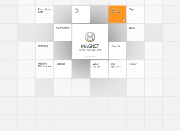 Website for Magnet Marketing